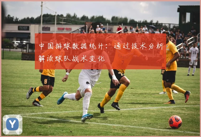 中国排球数据统计:通过技术分析解读球队战术变化