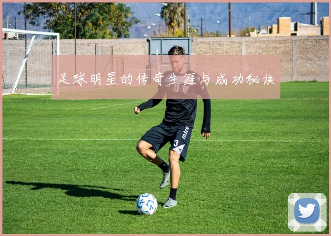 足球明星的传奇生涯与成功秘诀