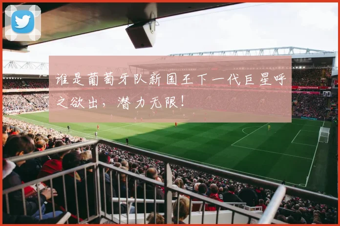 谁是葡萄牙队新国王下一代巨星呼之欲出，潜力无限！